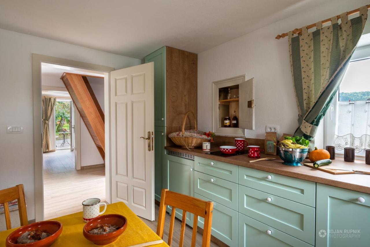 Cherry House: Cozy Castle-View Retreat for Bear Watching Stari Trg pri Lozu Exterior photo