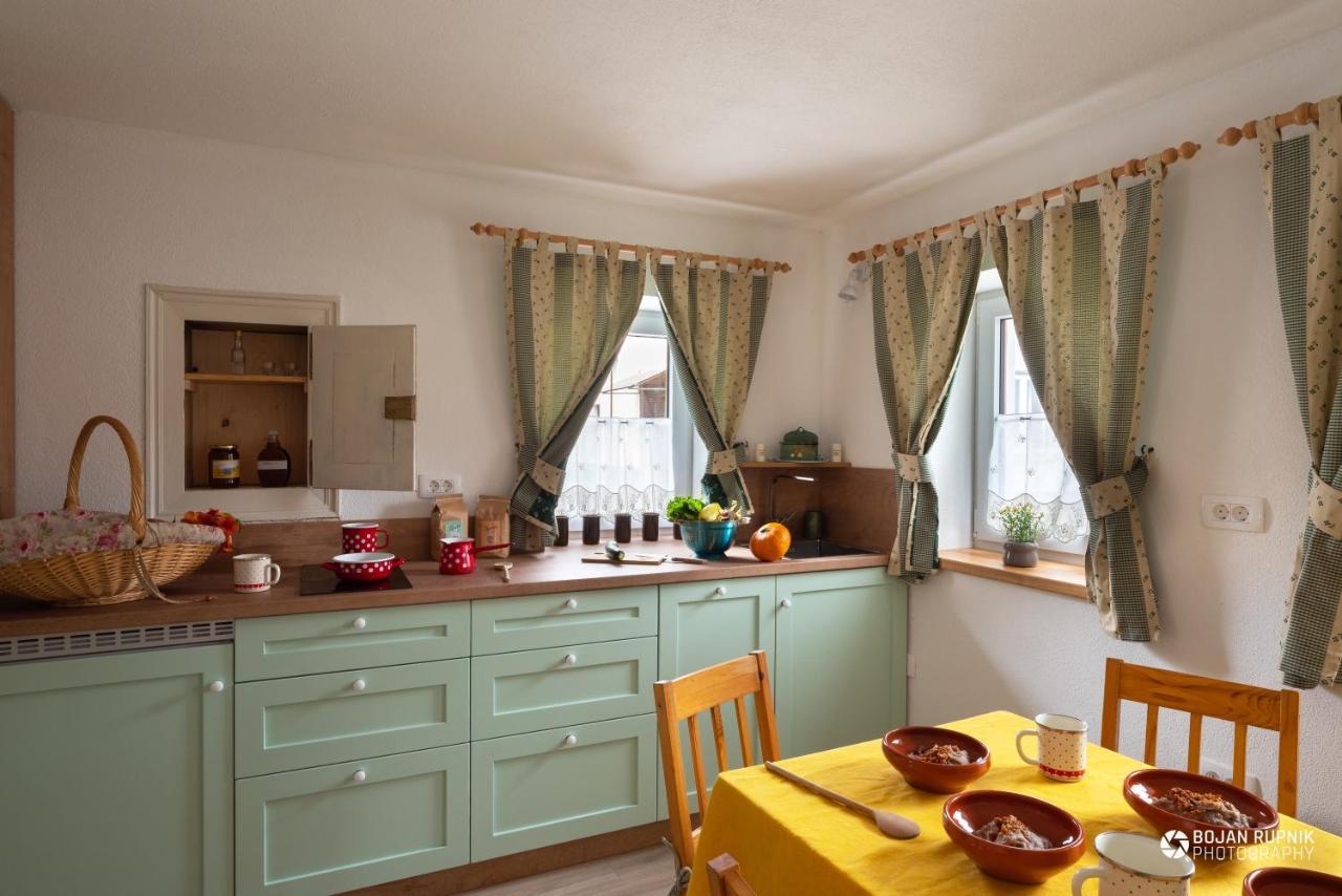 Cherry House: Cozy Castle-View Retreat for Bear Watching Stari Trg pri Lozu Exterior photo
