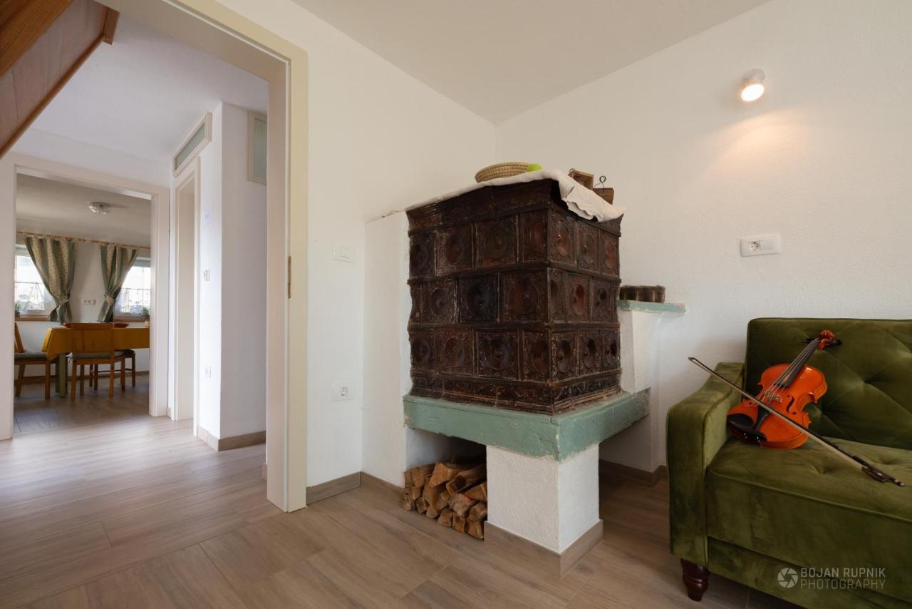 Cherry House: Cozy Castle-View Retreat for Bear Watching Stari Trg pri Lozu Exterior photo