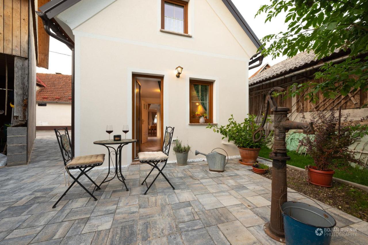 Cherry House: Cozy Castle-View Retreat for Bear Watching Stari Trg pri Lozu Exterior photo