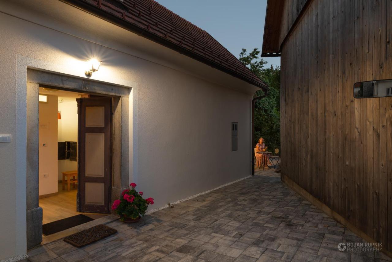 Cherry House: Cozy Castle-View Retreat for Bear Watching Stari Trg pri Lozu Exterior photo