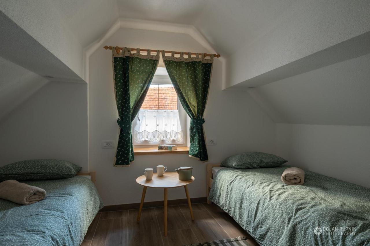 Cherry House: Cozy Castle-View Retreat for Bear Watching Stari Trg pri Lozu Exterior photo