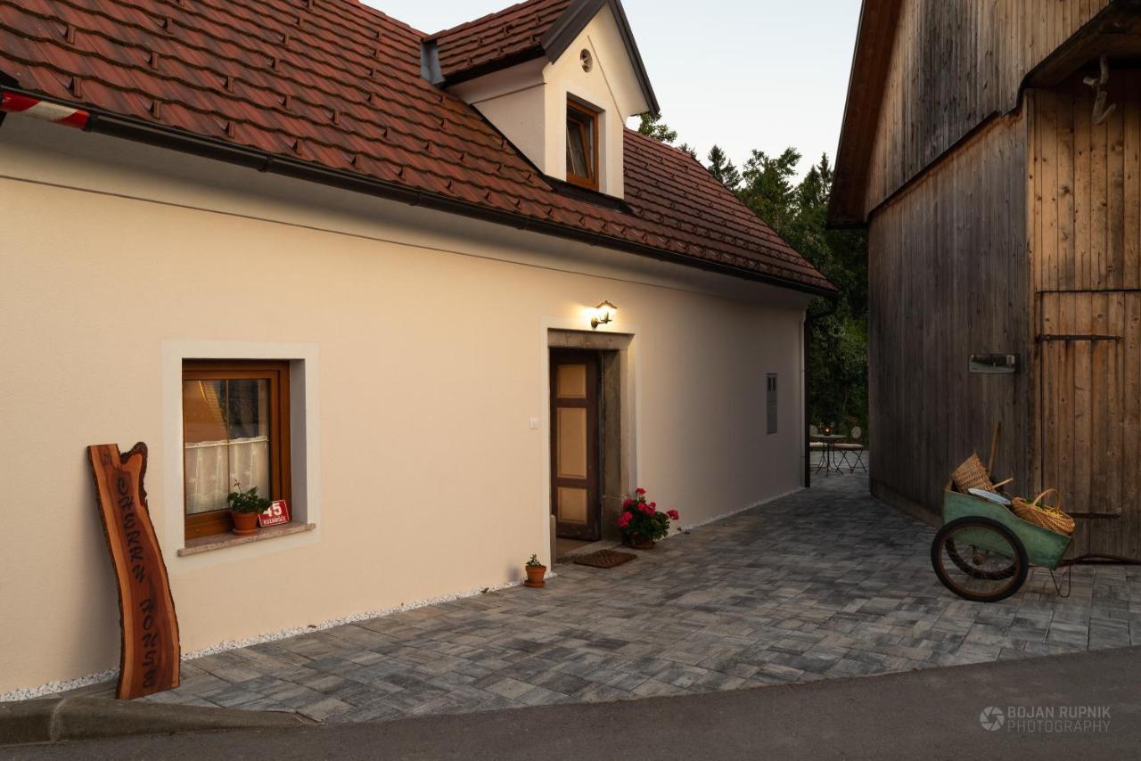 Cherry House: Cozy Castle-View Retreat for Bear Watching Stari Trg pri Lozu Exterior photo