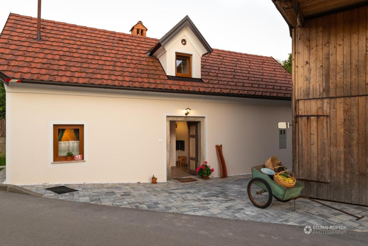 Cherry House: Cozy Castle-View Retreat for Bear Watching Stari Trg pri Lozu Exterior photo