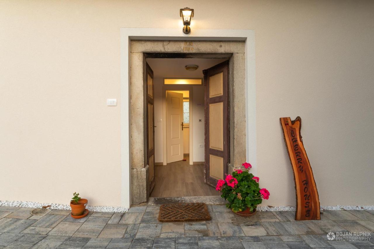 Cherry House: Cozy Castle-View Retreat for Bear Watching Stari Trg pri Lozu Exterior photo