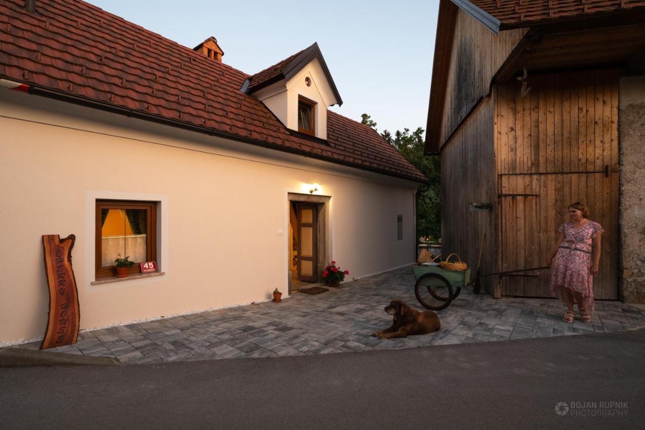 Cherry House: Cozy Castle-View Retreat for Bear Watching Stari Trg pri Lozu Exterior photo